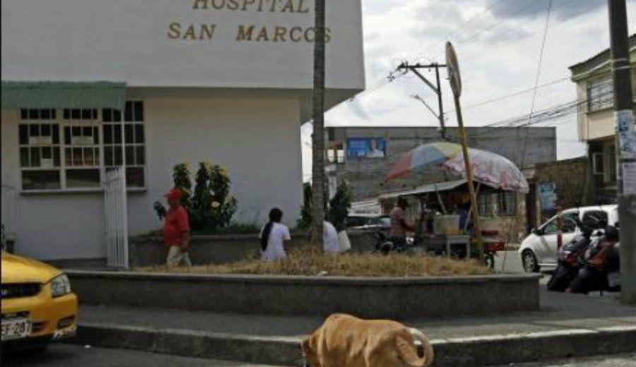 Perro fiel- espera a su duentildeo que fallecioacute hace dos antildeos