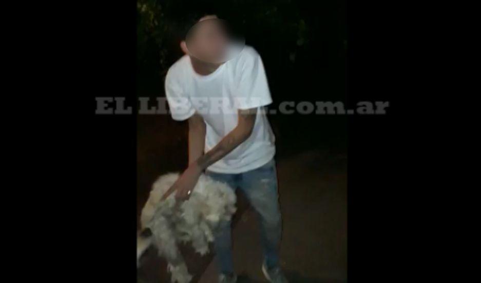 Viralizan un video en el que maltratan a un perro y seriacutean inminentes las acciones legales