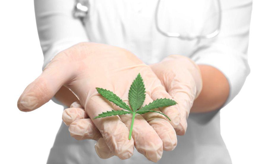 Mitos y Verdades Cannabis medicinal- una praacutectica que cada vez cobra mayor fuerza