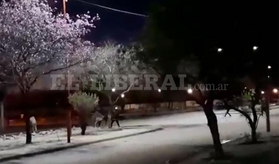 VIDEO  Hinchas de Talleres y San Martiacuten protagonizaron una batalla campal en Quimiliacute