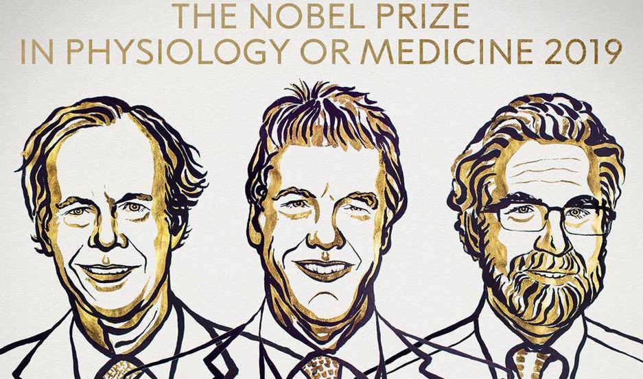 El Nobel de Medicina 2019 fue para William G Kaelin Gregg L Semenza y Peter J Ratcliffe