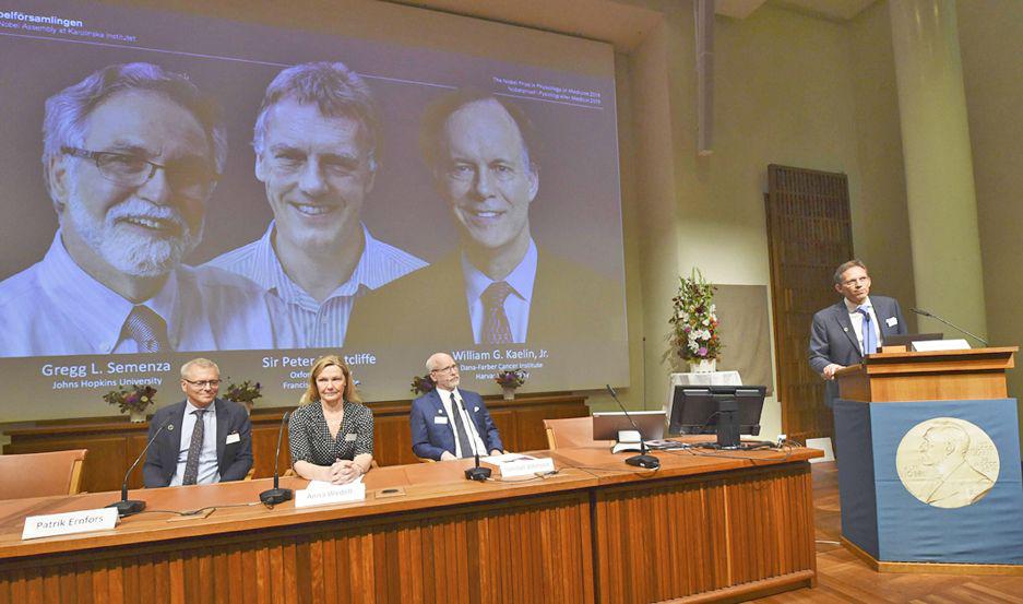 GANADORES William G Kaelin Gregg L Semenza y Peter J Ratcliffe se llevaron el mximo reconocimiento