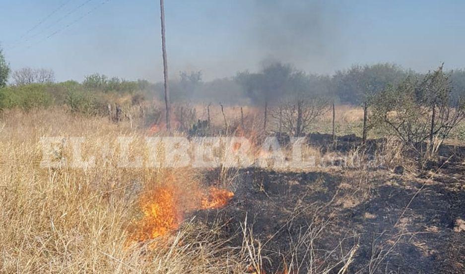 Denuncian incendio intencional de campos en Gramilla