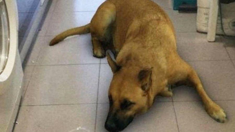 El filtro de la red social Instagram que causa furor