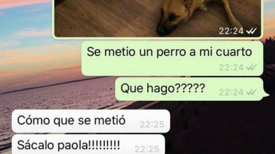 El filtro de la red social Instagram que causa furor