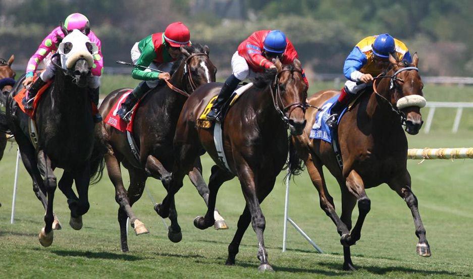 El accidente que lesionó al marido de la denunciante ocurrió en el Hipódromo de Palermo