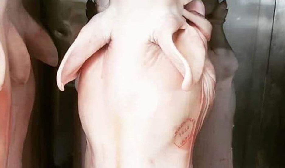 Productor santiaguentildeo denuncioacute que falsificaron su sello para faenar animales