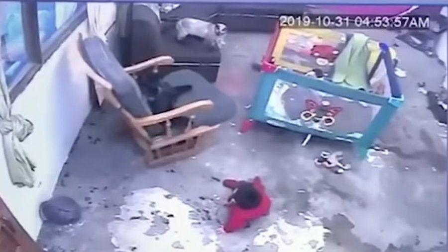 iexclUn gato heacuteroe