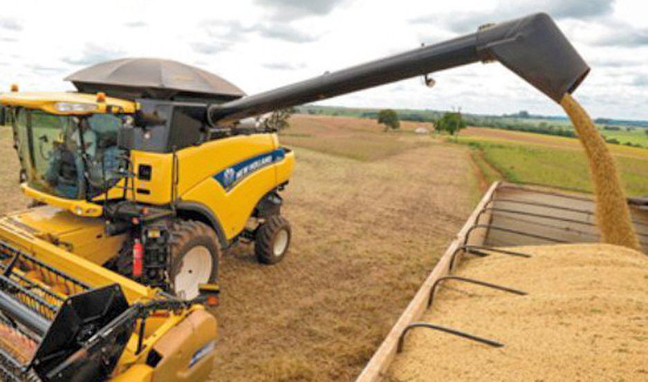 Reacutecord de compra para nueva cosecha de granos