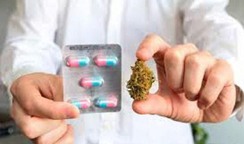 Brasil aproboacute venta de medicamentos a base de marihuana en farmacias con vigilancia sanitaria