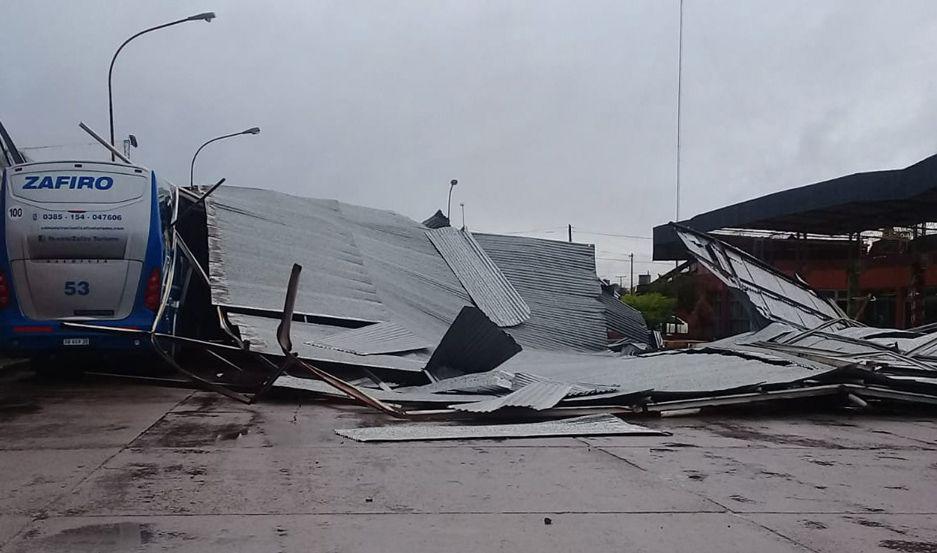 Tornado derriboacute techos aacuterboles y causoacute destrozo en el tendido eleacutectrico