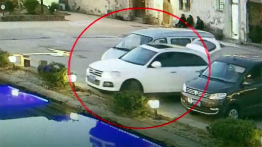 Un perro condujo accidentalmente el vehiacuteculo de su amo y cayoacute en iexclun estanque