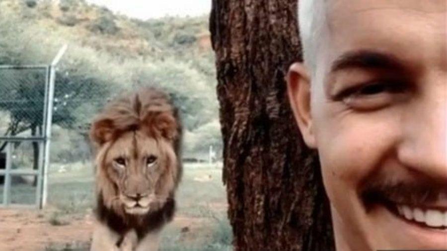 Se estaba sacando una selfie y aparecioacute un leoacuten por detraacutes