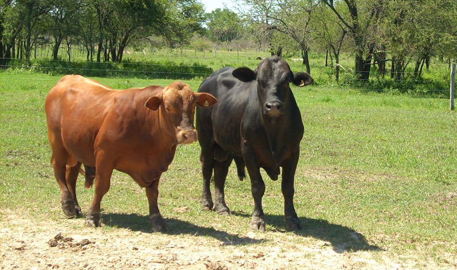 LITIGIO El proceso se inició en el 2004 y la condena había sido pronunciada en julio y luego recurrida
