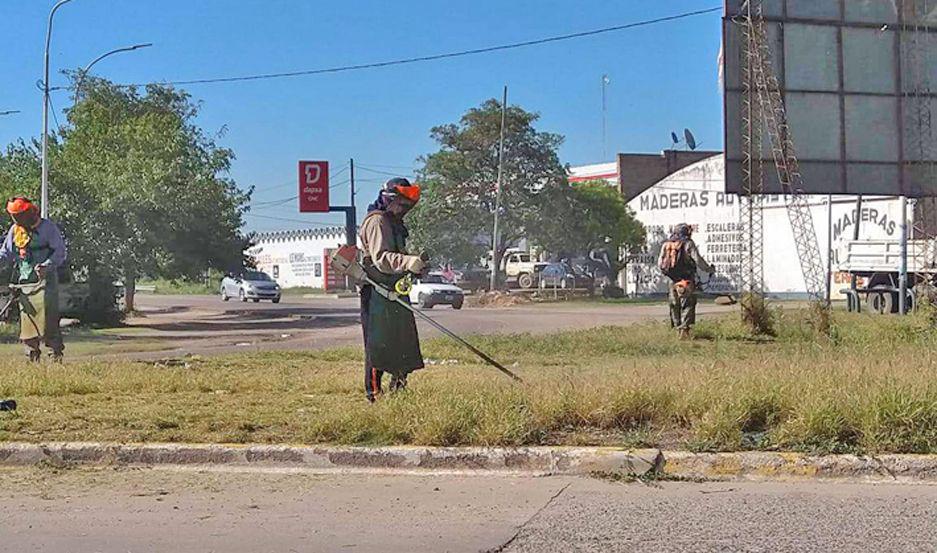 La comuna concretoacute tareas de desmalezamiento  y levantamiento de ramas en distintos sectores