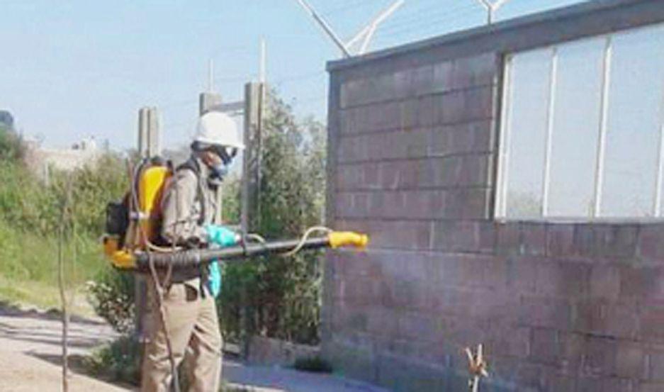 PREVENCIÓN Se busca controlar el Aedes aegypti
