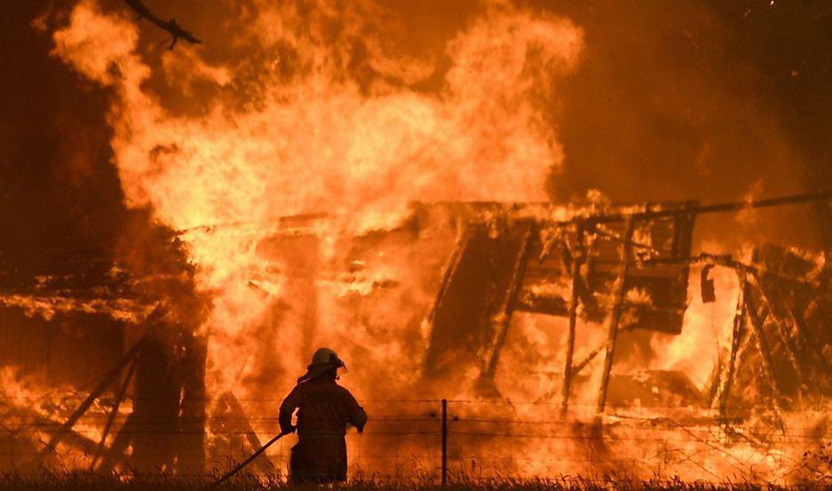 Las llamas consumieron miles de hectreas afecta a humanos y a millones de animales