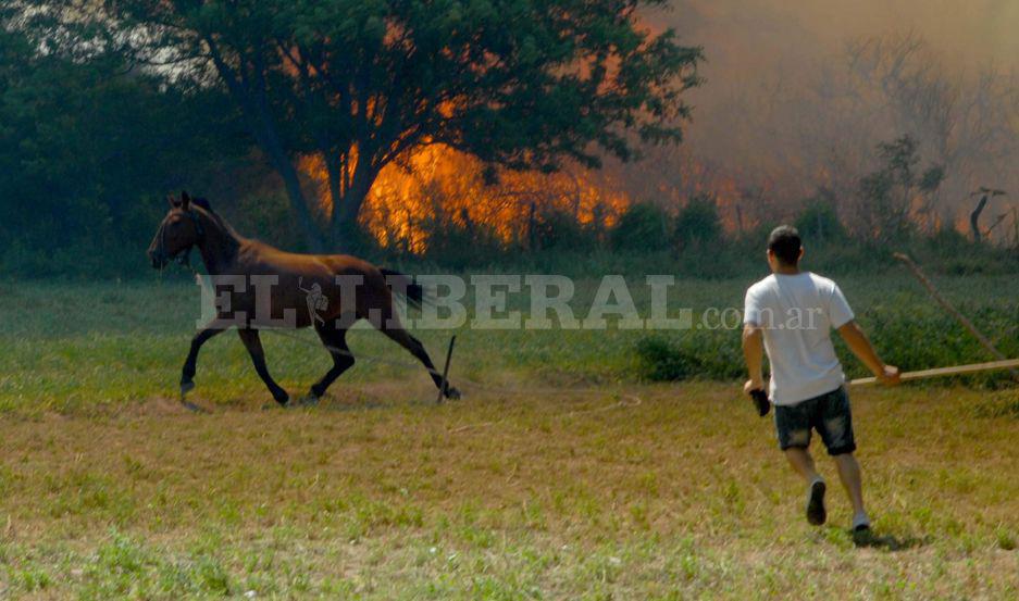 Un incendio en Colonia Hipoacutelito Irigoyen causoacute alarma de los vecinos loretanos
