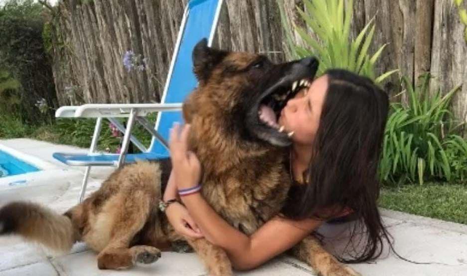 Quiso hacer una sesioacuten de fotos con un perro y terminoacute desfigurada