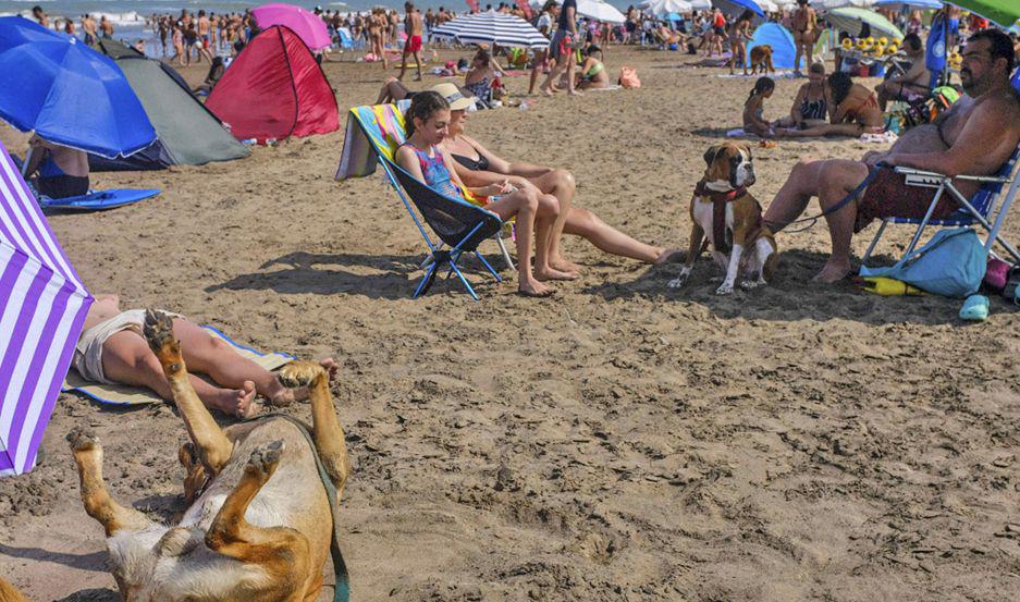 Se llama Yes Playa Canina y est ubicada sobre la ruta interbalnearia 11 kilómetro 55