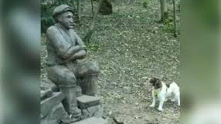 La conmovedora reaccioacuten de un perro con una estatua