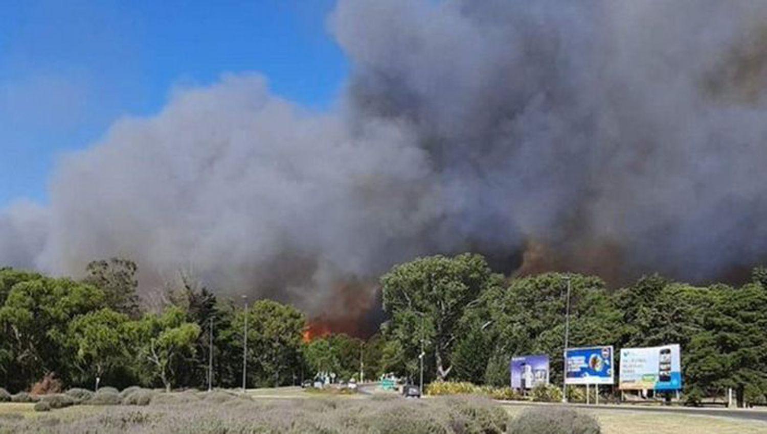 VIDEO  Un incendio de grandes proporciones alarma a turistas y lugarentildeos de Villa Gesell