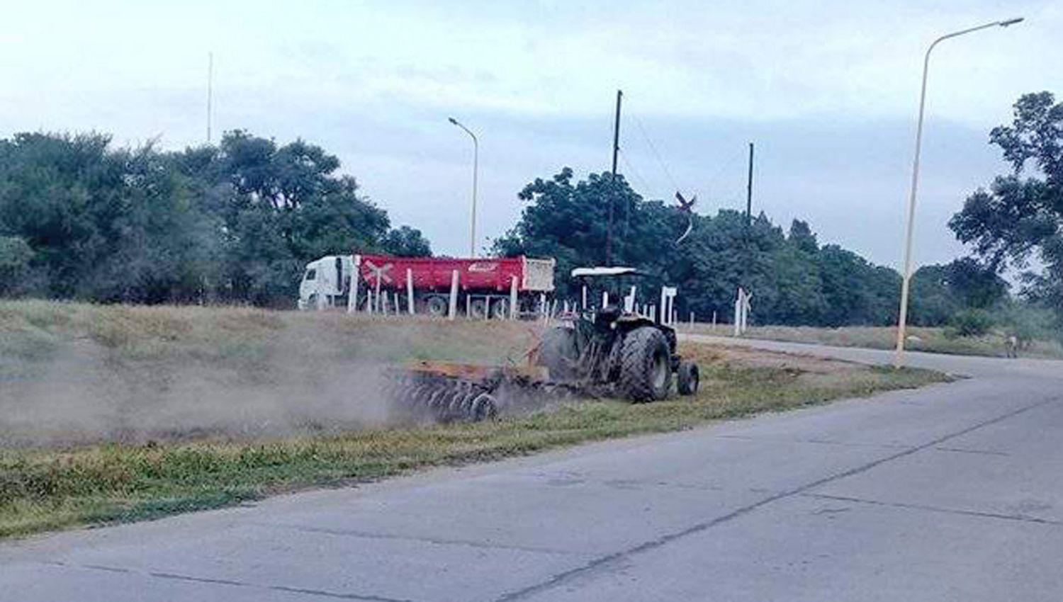 PROPÓSITO Con estas acciones buscan prevenir la proliferación de alimañas que abundan durante el verano