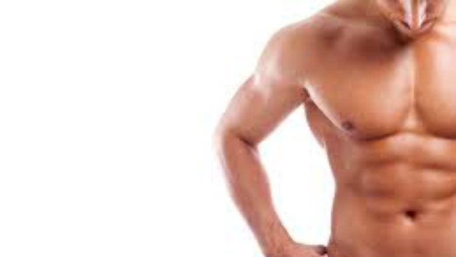 iquestLos testiacuteculos tienen papilas gustativas