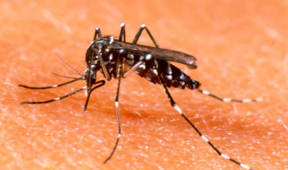 Se intensifican las acciones para prevenir el dengue en los barrios de la capital