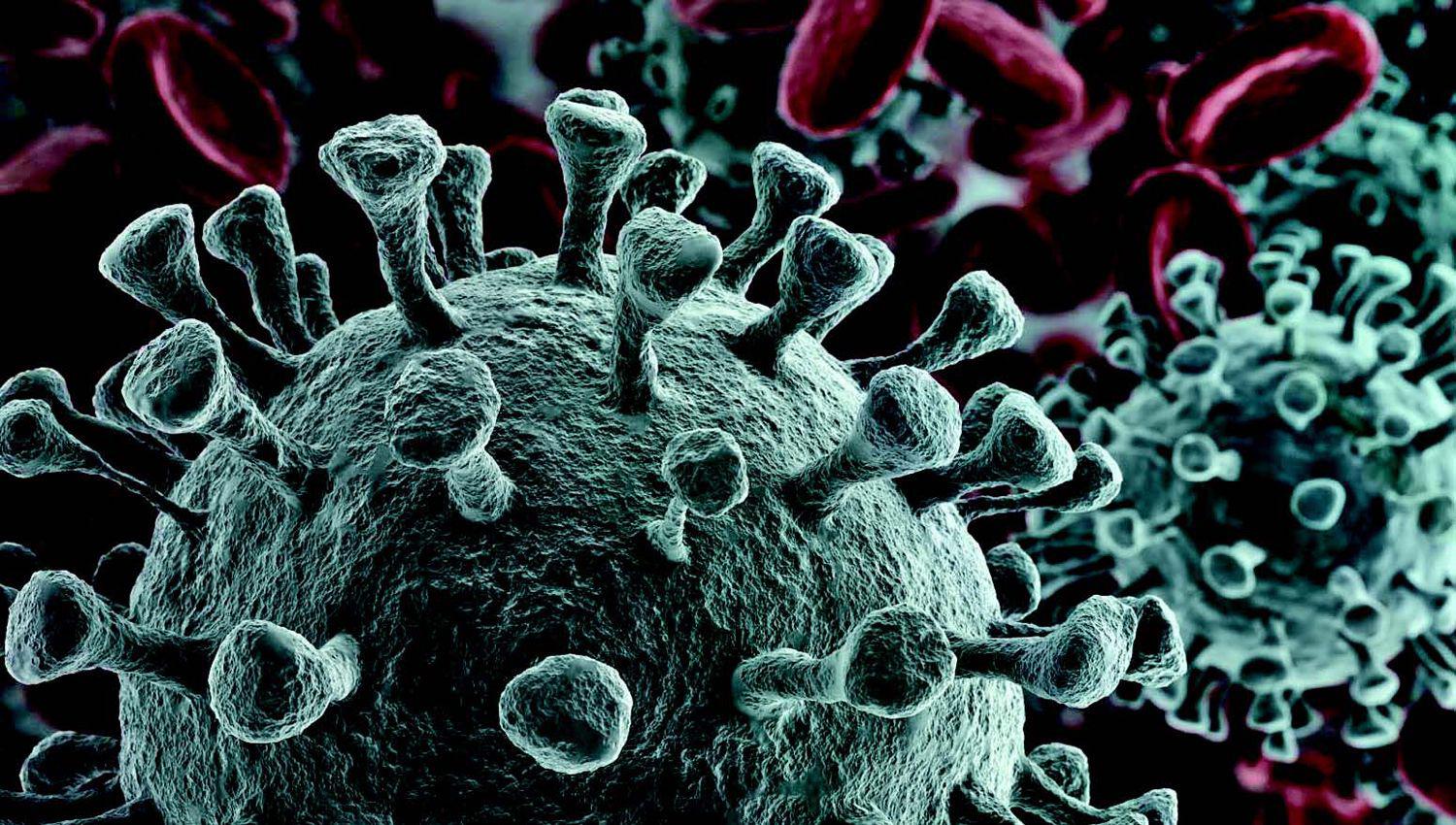Hallan mutaciones del coronavirus que podriacutean hacerlo todaviacutea maacutes peligroso