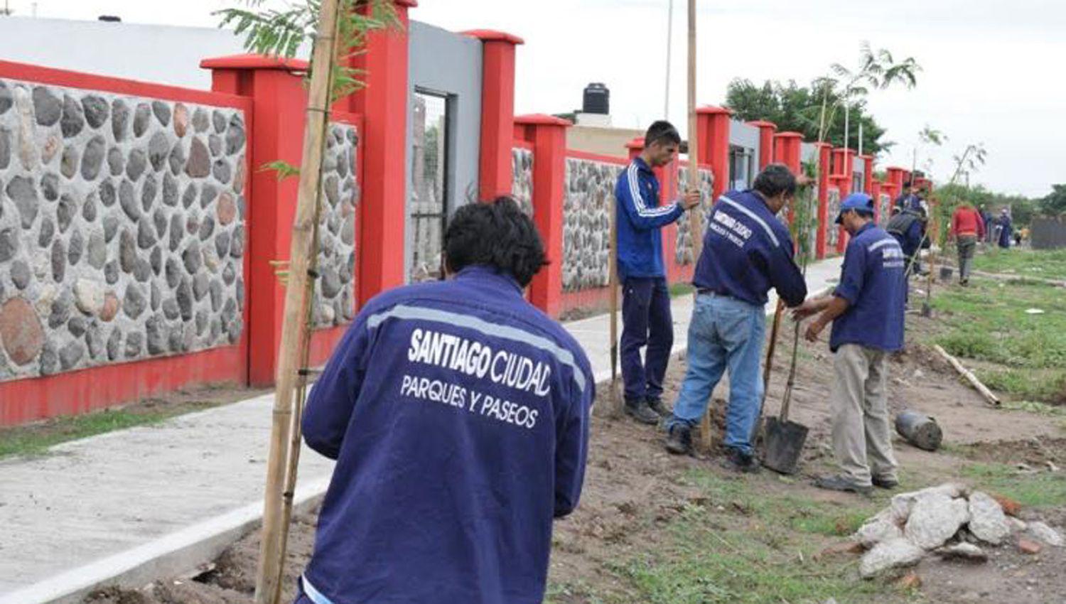 Continuacutea la plantacioacuten de aacuterboles en el barrio La Catoacutelica