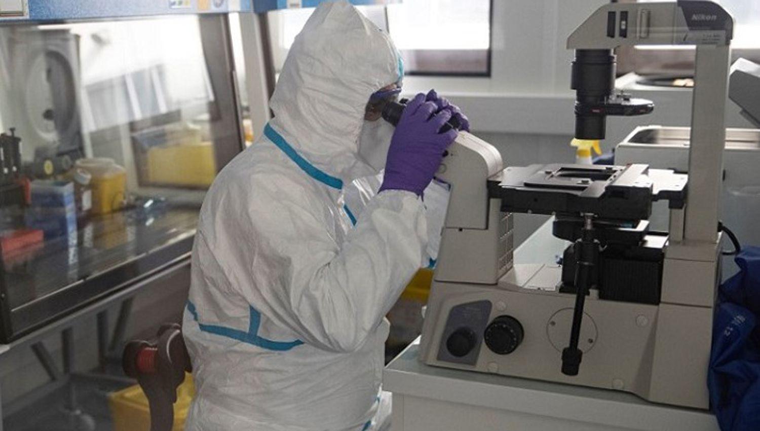 Confirmaron dos nuevos casos en el paiacutes y ya suman 21 infectados