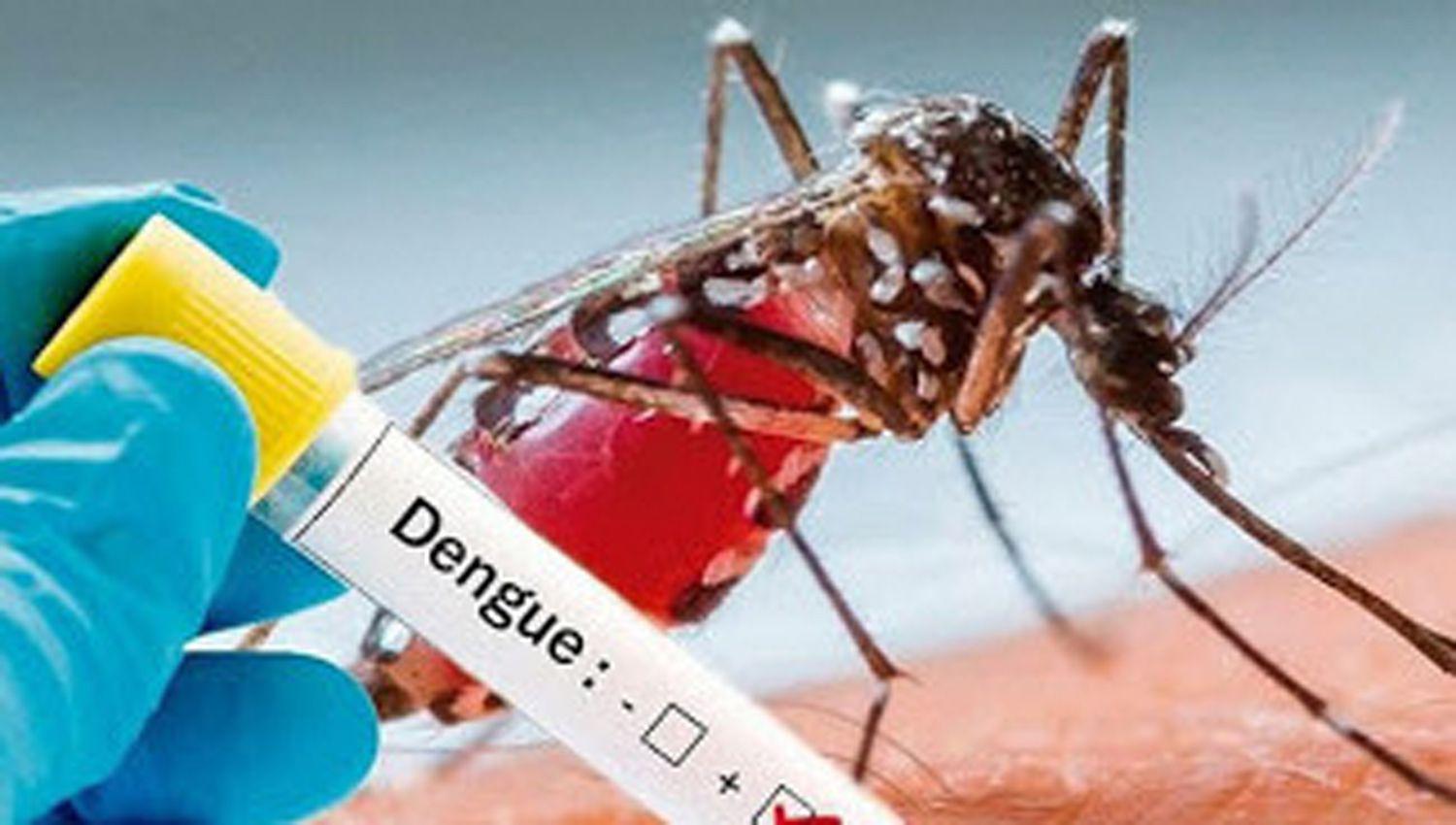 Determinan 13 nuevos casos de dengue y en la provincia ya suman 136