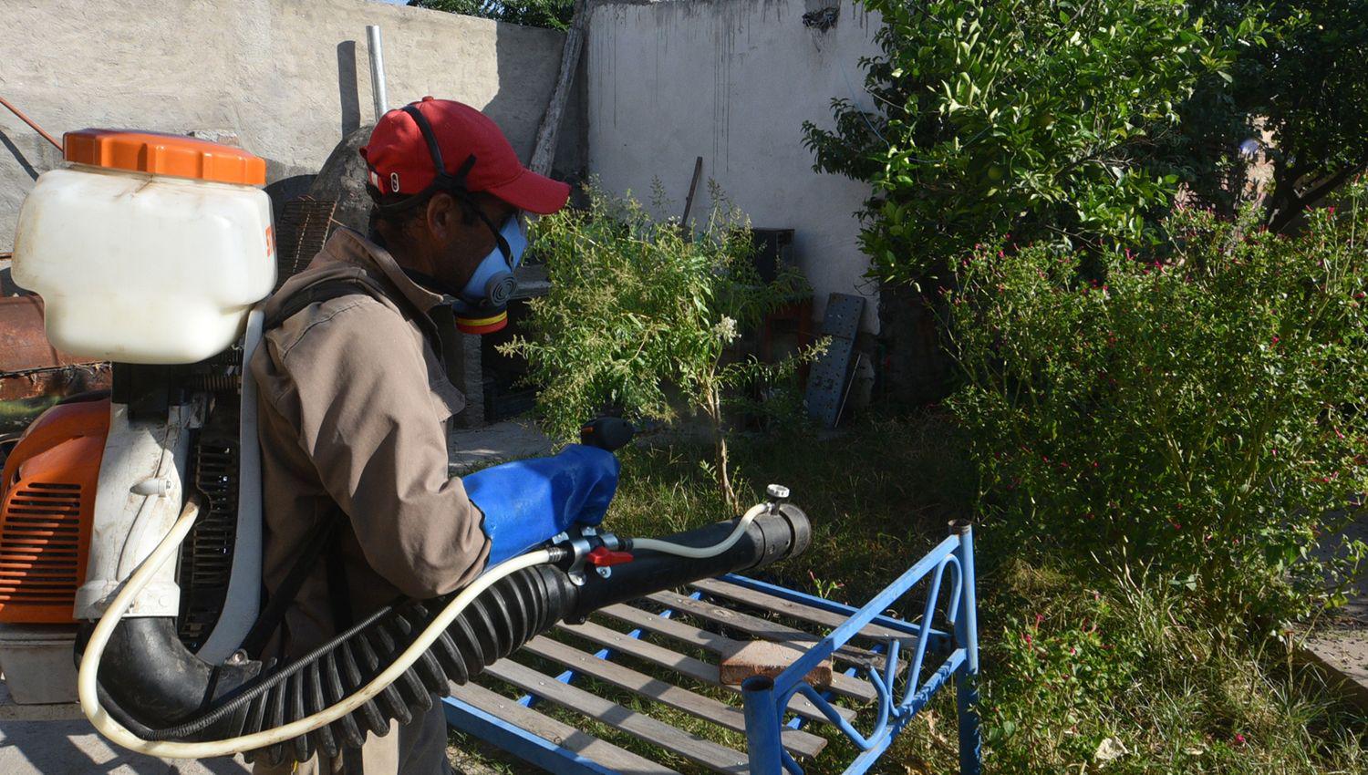 El gobierno provincial intensificoacute los operativos para controlar y prevenir el dengue