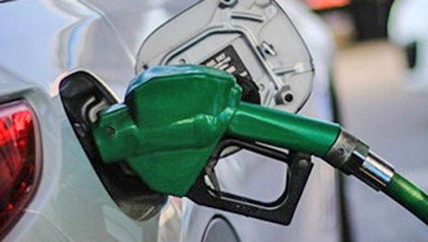 Estiman que un corte de la actividad econoacutemica llegariacutea a un 20-en-porciento- del total