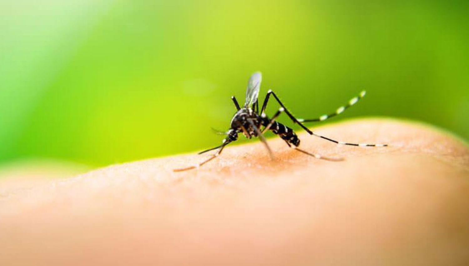 Hay 3 casos maacutes de dengue en Santiago del Estero