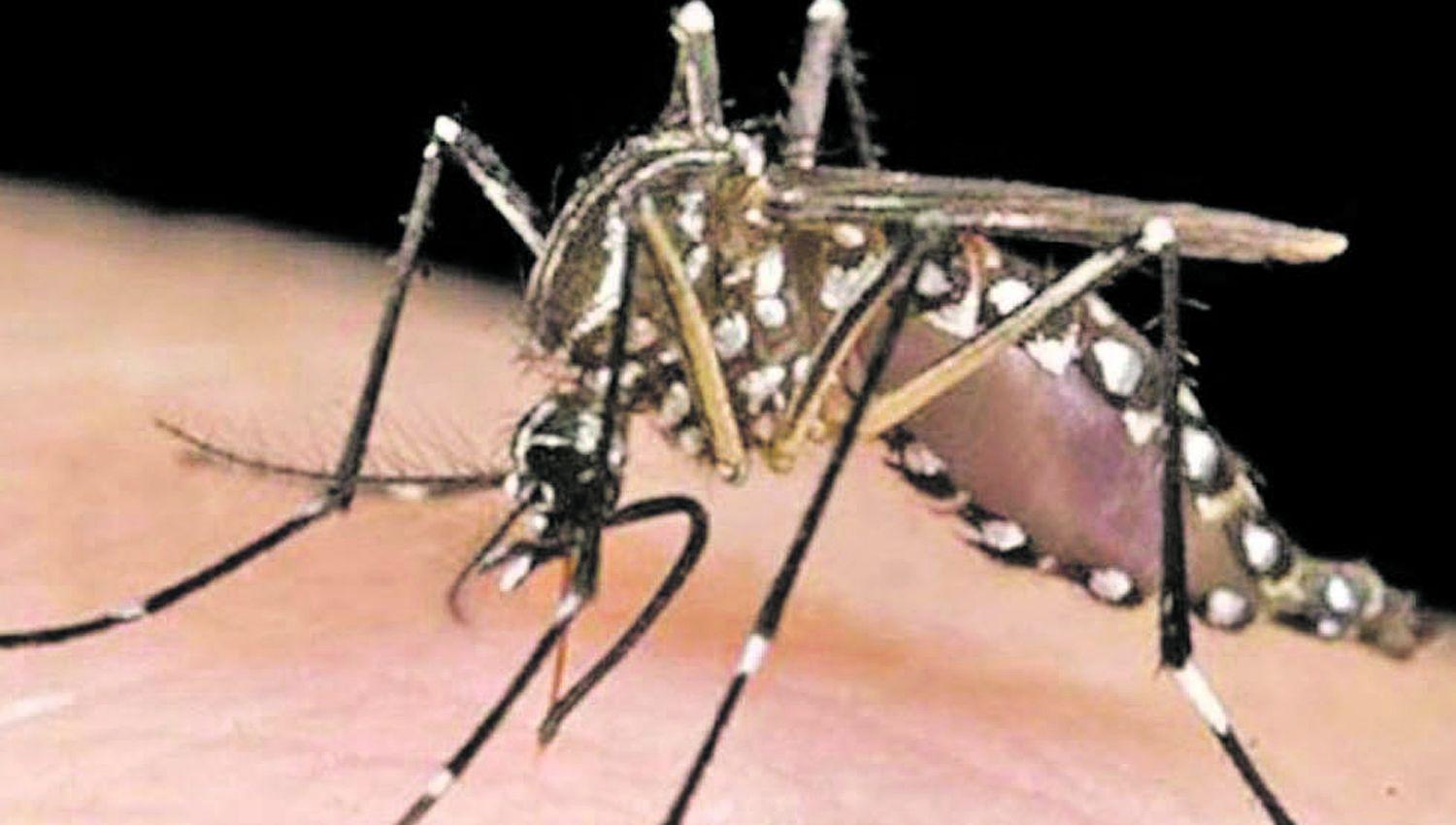 Hay 279 casos de dengue de los cuales 222 son del departamento Banda