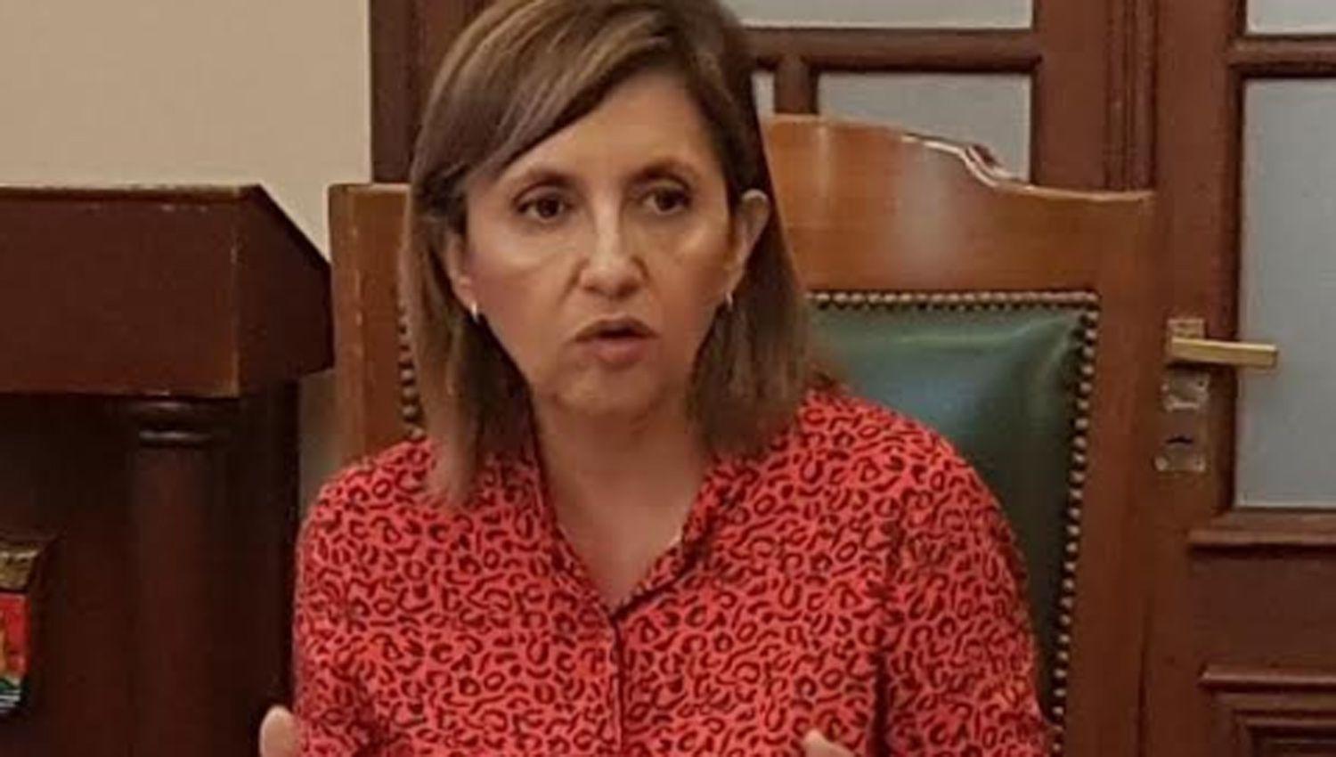 La intendente Fuentes advirtioacute que quienes generan mini basurales por podas y escombros seraacuten multados