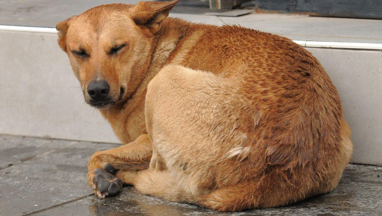 Este jueves podriacutea ser una jornada pesada y con maacutes lluvias