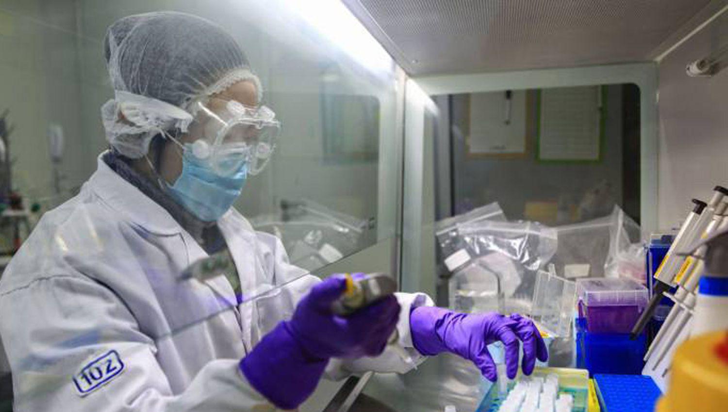 DROGA Es un sanador contra la malaria y el lupus una vieja droga que se dice que tendría un efecto positivo