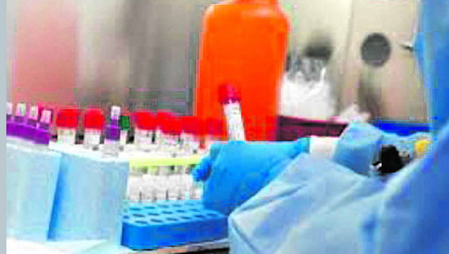 Se elevan a 24 los muertos y 966 los infectados en el paiacutes