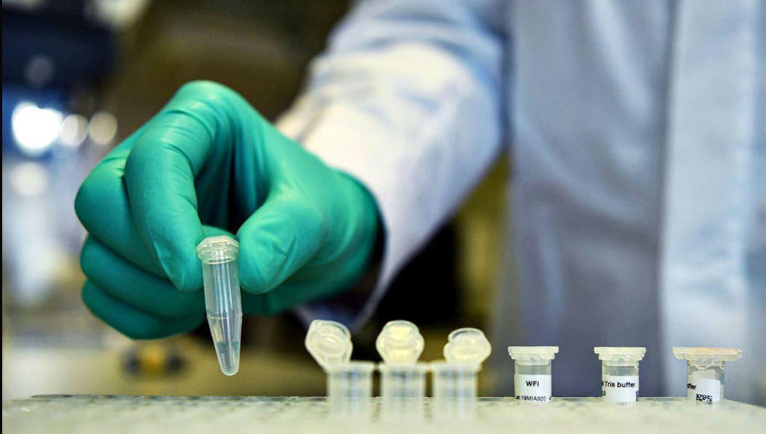 Argentina avanza en la produccioacuten de sus propios test raacutepidos para detectar el coronavirus
