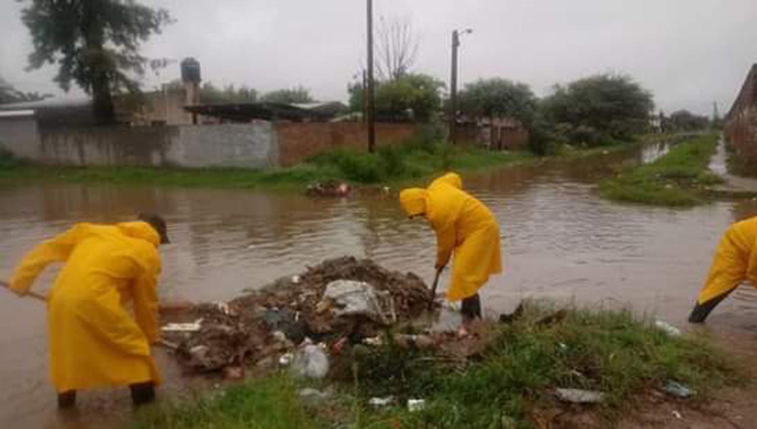 Extrajeron maacutes de 300 kilos de basura de los canales de desaguumles