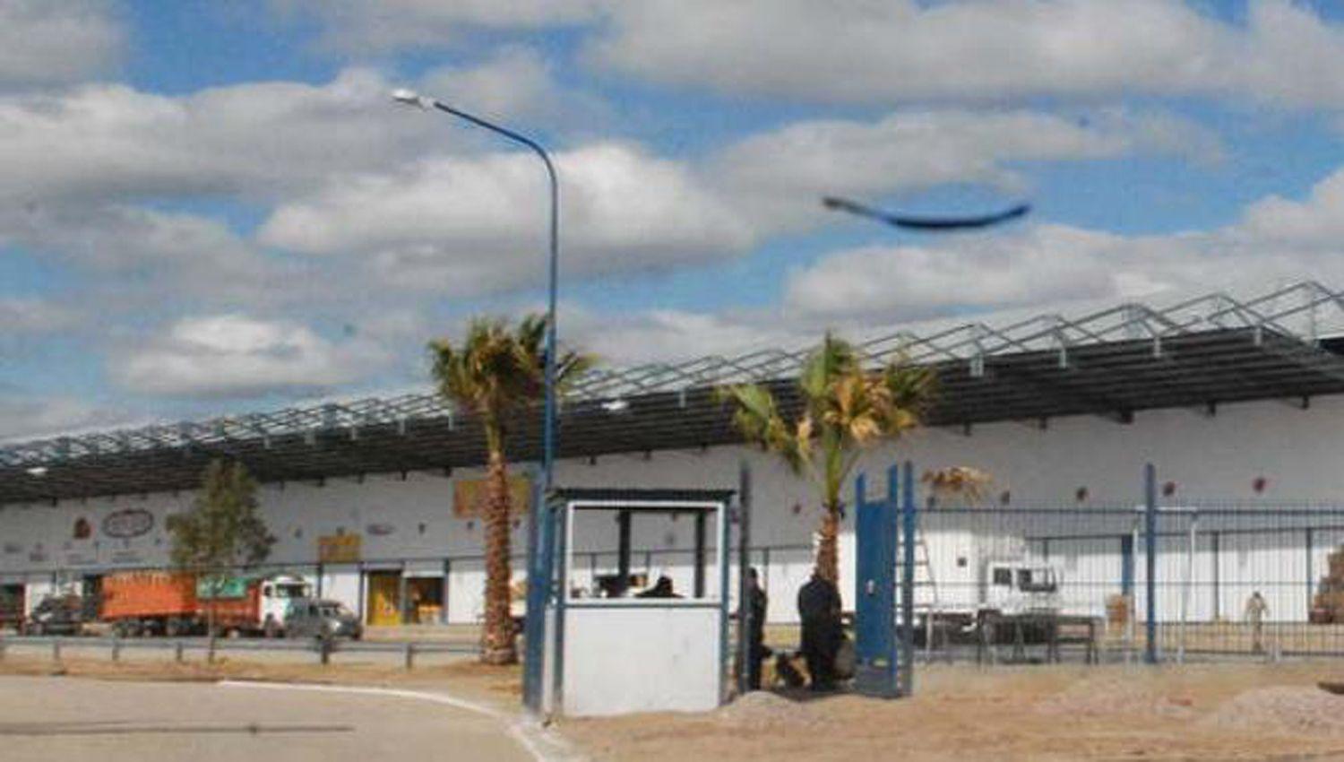 Mayoristas crearon lista de precios sugeridos para frutas y verduras