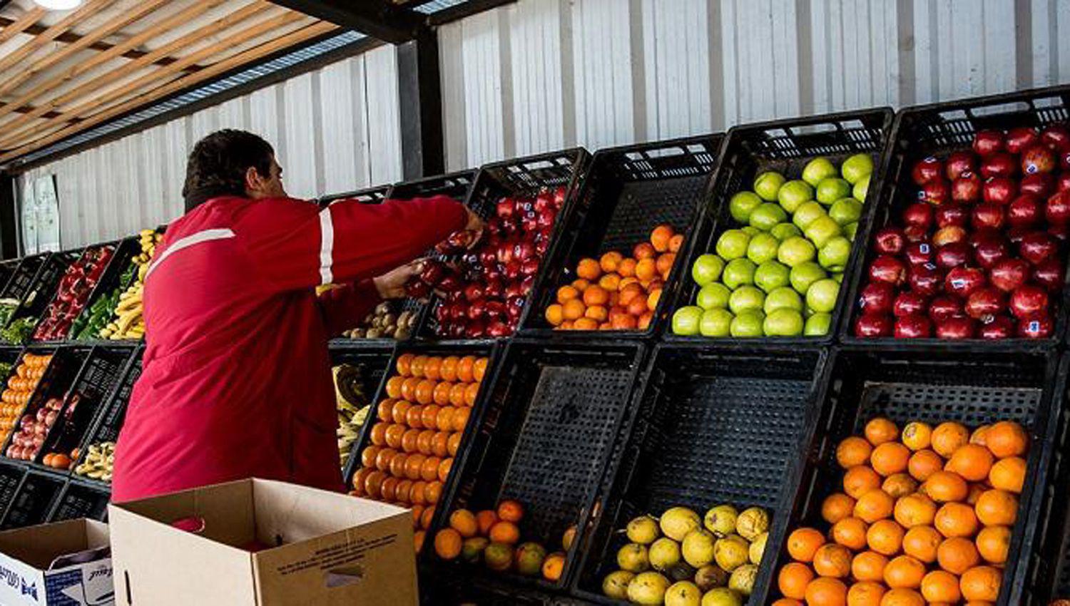 Afirman que haraacuten cumplir lista de precios de frutas y verduras
