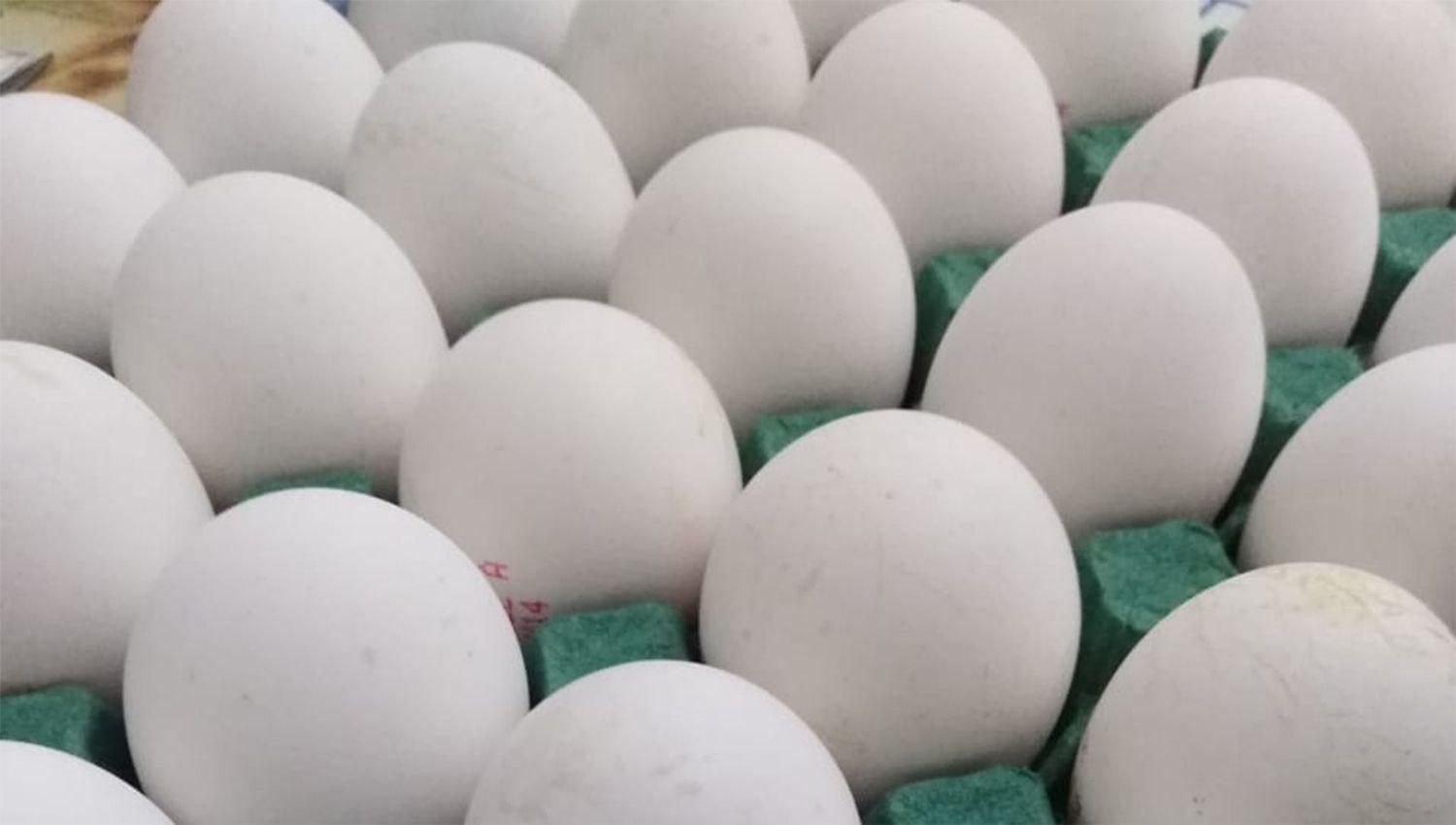 Aumentoacute el precio de los huevos en comercios de Santiago