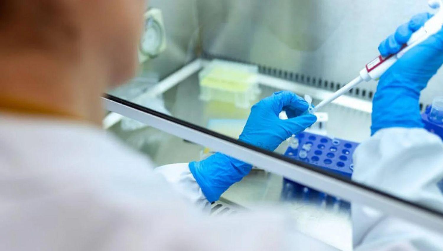 Advierten que la clave contra el coronavirus es la ampliacioacuten del nuacutemero de testeos