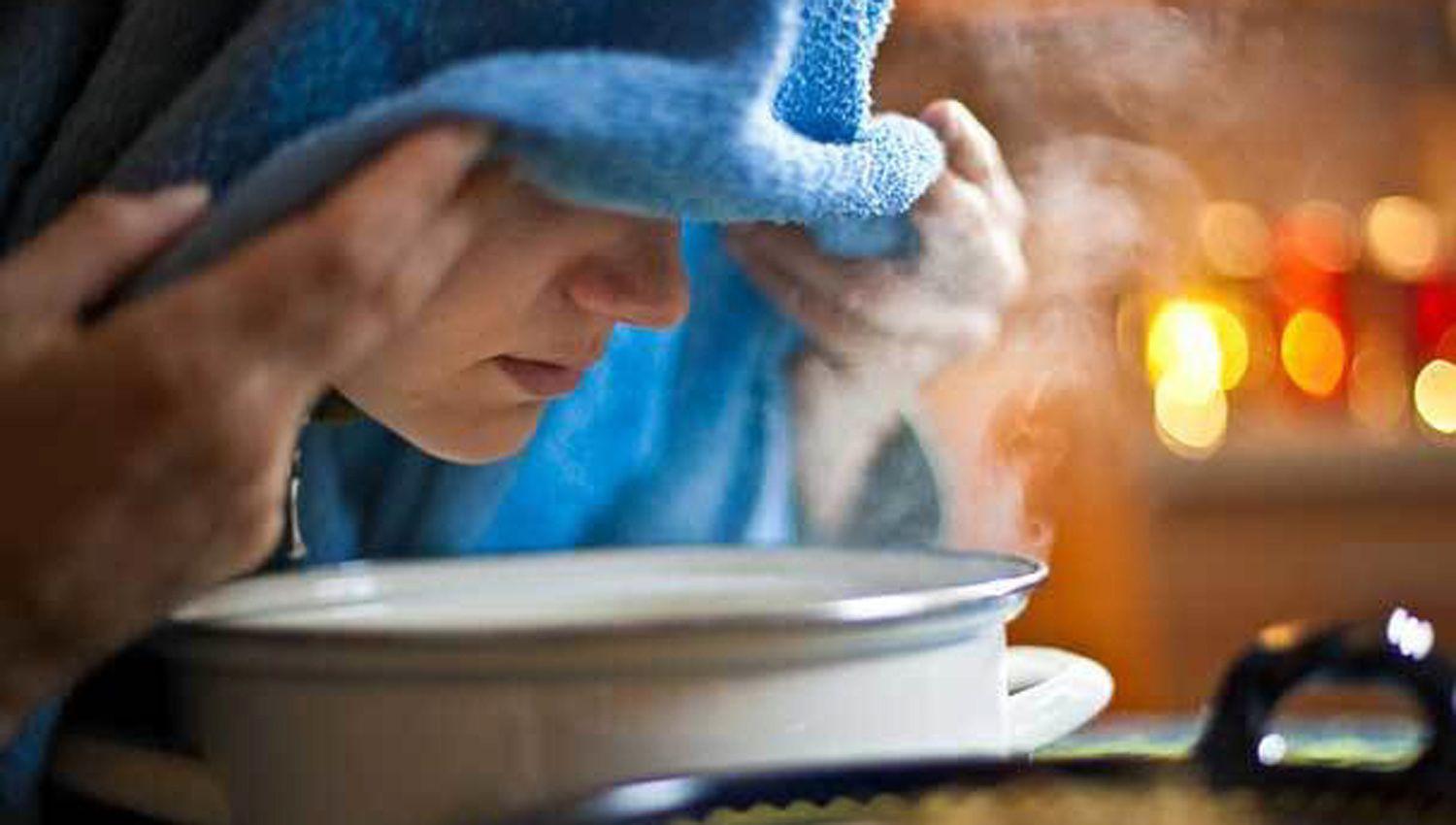 Aseguran que es falso que el eucalipto previene el contagio del Covid-19