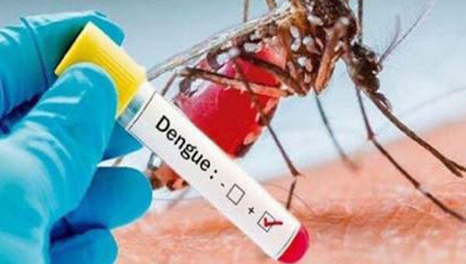 Ministerio de Salud- son 505 los pacientes con dengue en la provincia