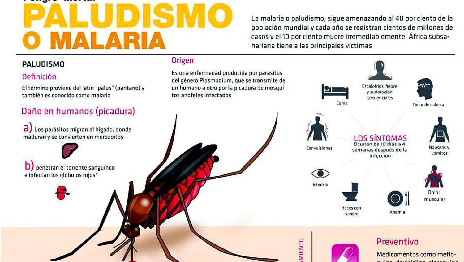 La prevencioacuten y tratamiento son claves para reducir el paludismo